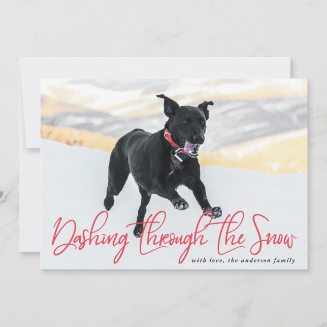 Dashing Through The Snow | Holiday Pet Card (Front)