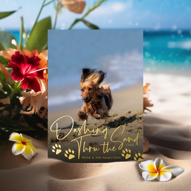 Dashing Thru the Sand Dog Beach Foil Holiday Card (Creator Uploaded)
