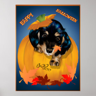 Dashund Halloween - Boo Poster