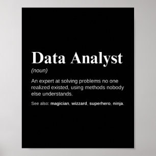 Data Analysts Funny Definition Poster