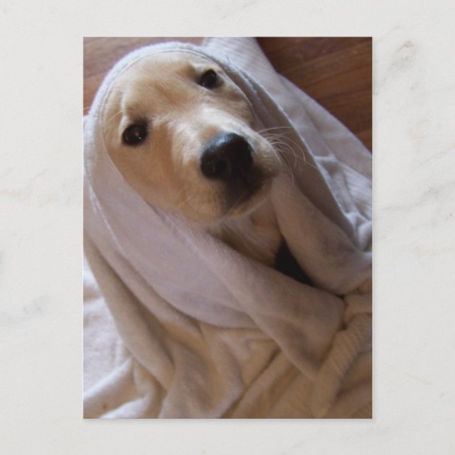 data in towel Postcard (Front)