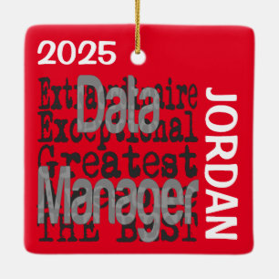 Data Manager Extraordinaire CUSTOM Ceramic Ornament