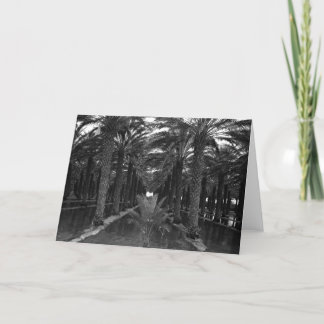 Date Palm Grove during Irrigation, 1966 Card