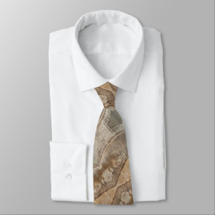 Date Palm Tree Trunk Texture Closeup Photo Image Tie