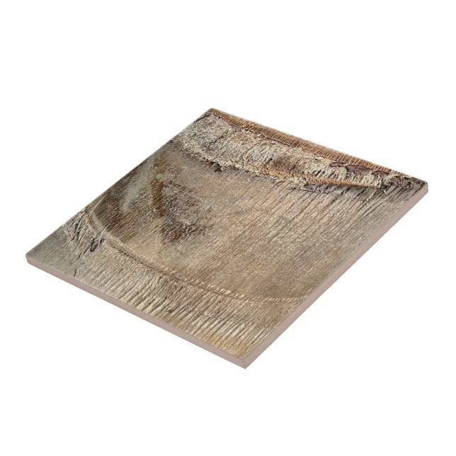 Date Palm Tree Trunk Texture Closeup Photo Image Tile (Side)