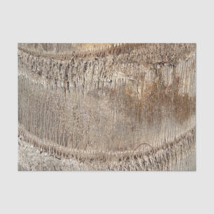 Date Palm Tree Trunk Texture Closeup Photo Image Tissue Paper