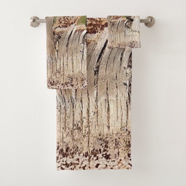 Date Palm Tree Trunk Texture Fermer Photo Image (En situation)