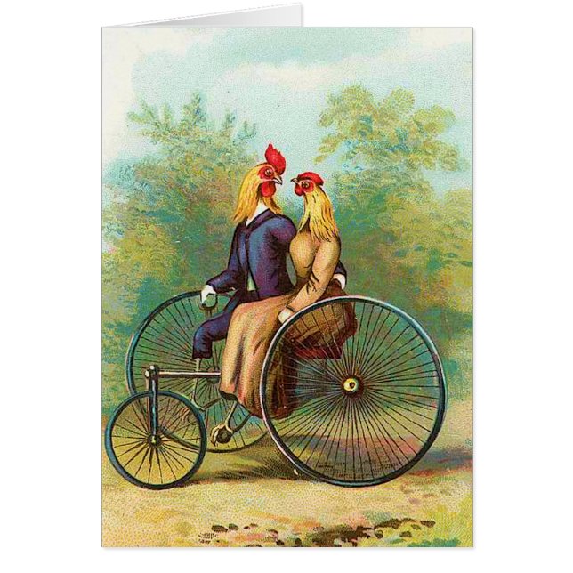 Date romantique de vélo de coq (Devant)