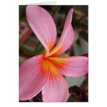 date romantique fleurs rsvp coloré chic