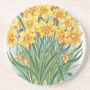 date rsvp flowers daffodil yellow vintage coaster