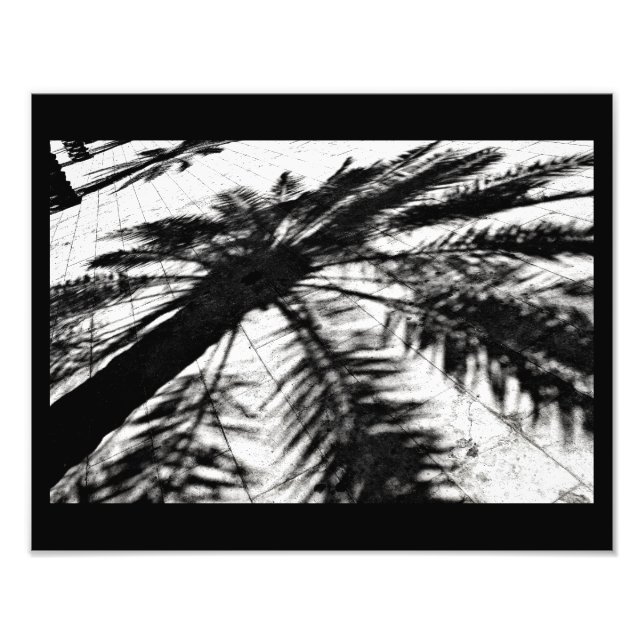 Date Tree Shadow Photo Print (Front)