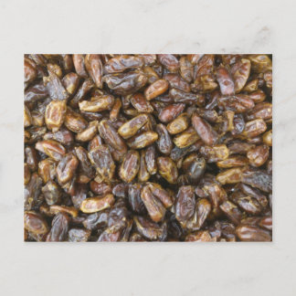 Dates Postcard