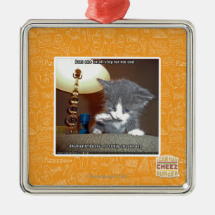 Dats one small step fur me metal ornament
