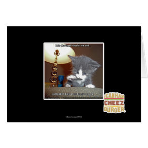 Dats une petite fourrure d'étape je