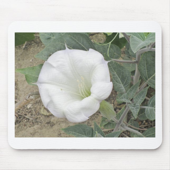 Datura Mouse Pad (Front)