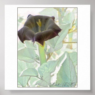 Datura Mystica 2 Poster