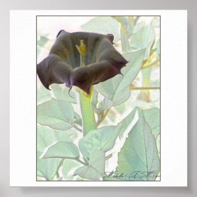 Datura Mystica 2 Poster (Front)