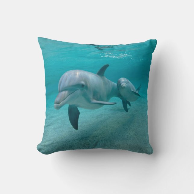 DAUPHIN AVEC LE COUSSIN DE VEAU (Recto)