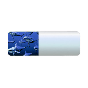 Dauphin bleu