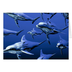 Dauphin bleu