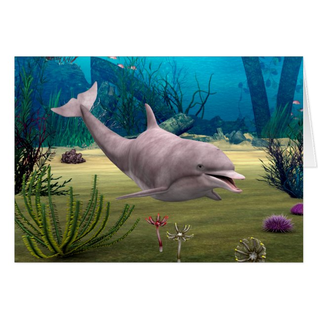 Dauphin souriant (Devant horizontal)