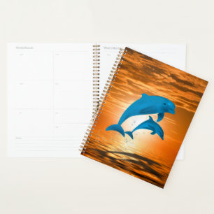 Dauphins