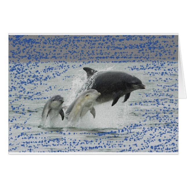 Dauphins (Devant horizontal)