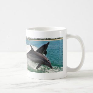 Dauphins de Bottlenose sauvages sautant la tasse