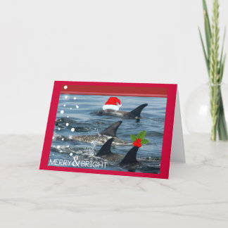 dauphins joyeux et carte heureuse lumineuse de