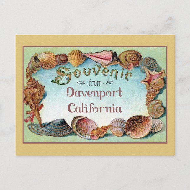 Davenport California Seashells Vintage Travel  Postcard (Front)