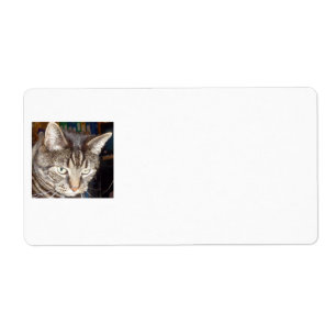Dave's Watching You Shipping Labels