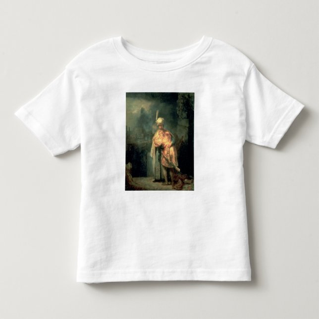 David and Jonathan, 1642 Toddler T-shirt (Front)