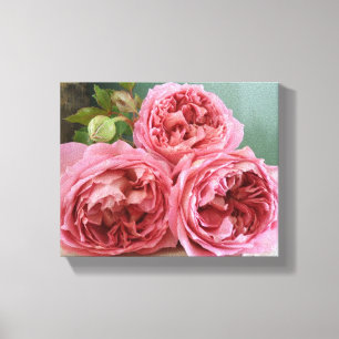 David Austin Heritage English Roses Print