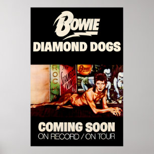 David Bowie 1974 Diamond Dogs Promo Poster Print 1