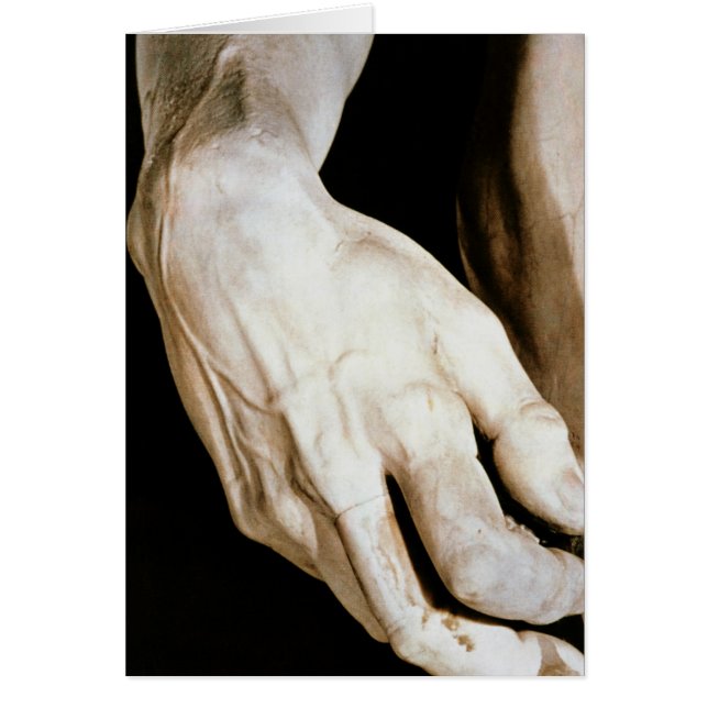 David by Michelangelo Buonarroti , 1501-04 (Front)