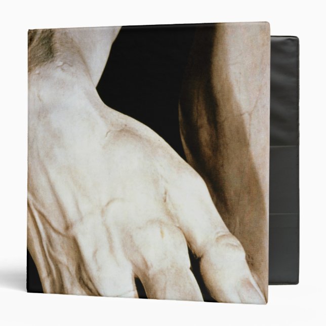 David by Michelangelo Buonarroti , 1501-04 Binder (Front/Inside)