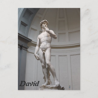 David by Michelangelo- Florence Postcard