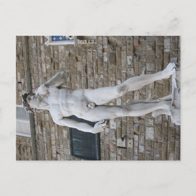 David in the Piazza della Signoria, Florence Postcard (Front)