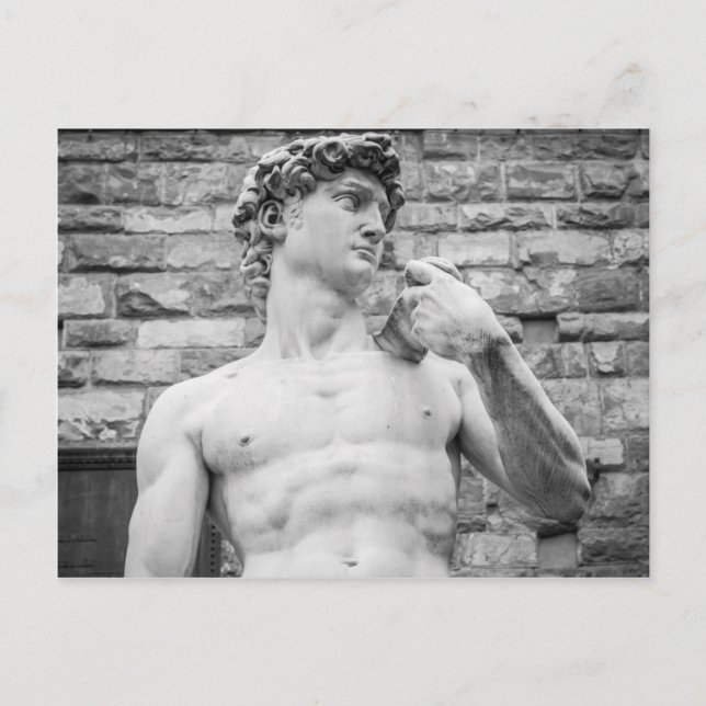 David (Michelangelo) Postcard (Front)