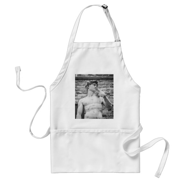 David (Michelangelo) Standard Apron (Front)