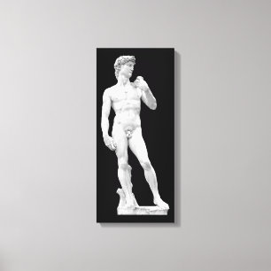 David par Michaël Angelo a enveloppé la toile
