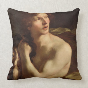 David Throw Pillow