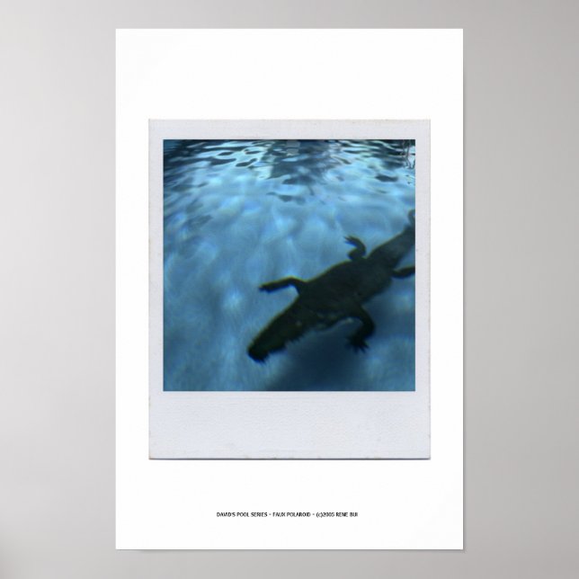 DAVID'S POOL SERIES p05b Poster (Devant)