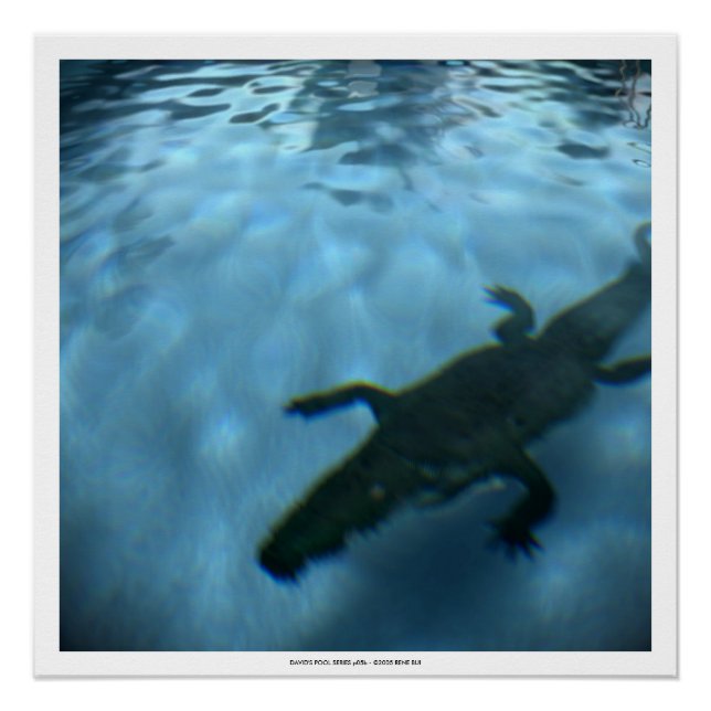DAVID'S POOL SERIES p05b- Poster 3D Computer ART (Devant)