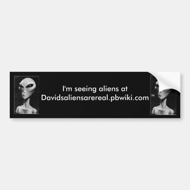 Davidsaliensarereal.pbwiki.com Bumper Sticker!!!! Bumper Sticker (Front)