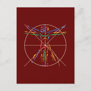 DaVinci Anatomy Man in Chakra Colours Postcard