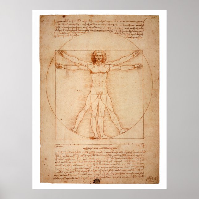 DaVinci Vitruvian Man Poster (Front)