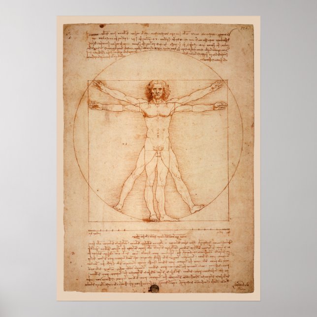 DaVinci Vitruvian Man Poster (Front)