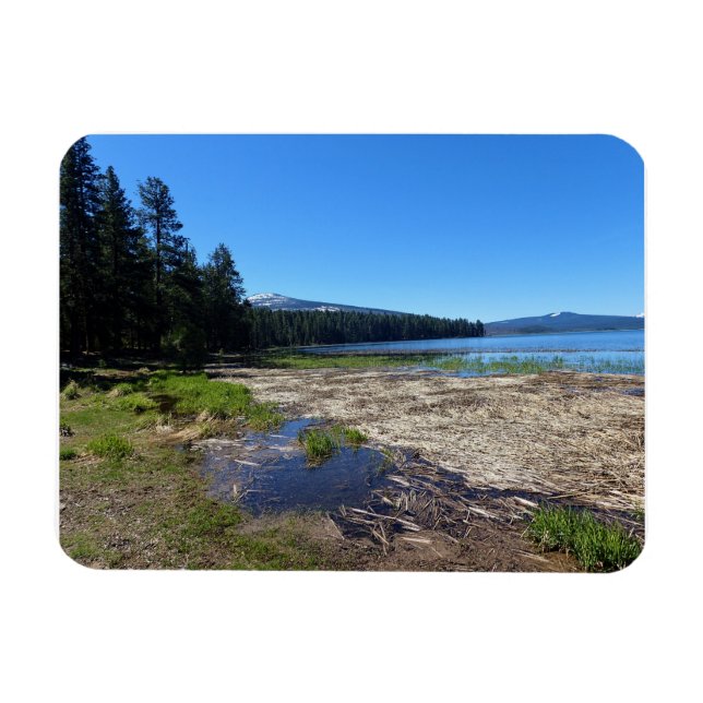 Davis Lake, OR Magnet (Horizontal)