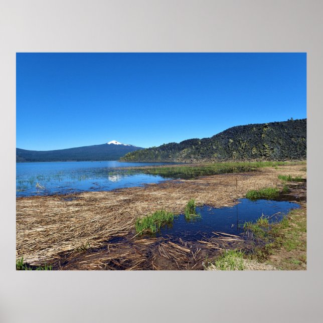 Davis Lake, OR Poster (Front)